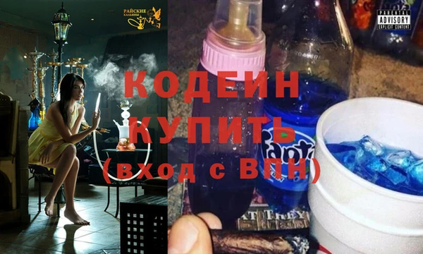 хмурый Вяземский