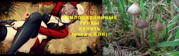 хмурый Вяземский