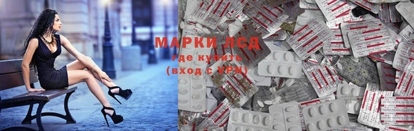 хмурый Вяземский