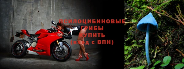 хмурый Вяземский