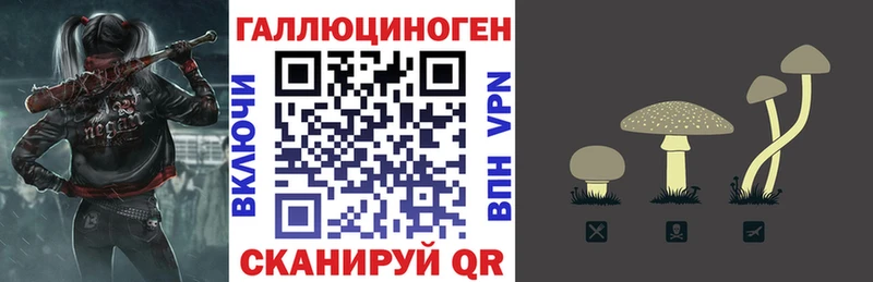 Купить закладки  Избербаш  Галлюциногенные грибы прущие грибы 